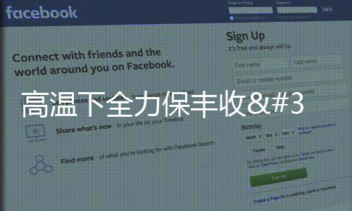 高溫下全力保豐收 數字化技術為農作物防暑降溫
