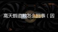 高天鶴道歉怎么回事（因主持人考試作弊道歉）