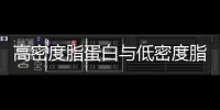 高密度脂蛋白與低密度脂蛋白有什么區別？
