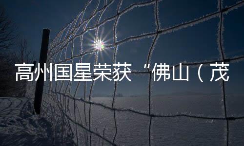 高州國星榮獲“佛山（茂名）產業轉移合作園產業協作示范企業”稱號