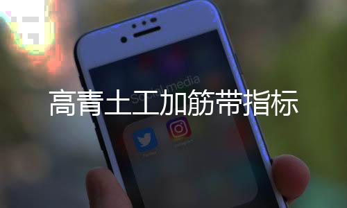 高青土工加筋帶指標