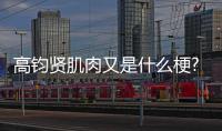 高鈞賢肌肉又是什么梗?