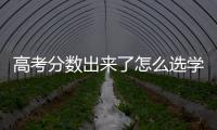 高考分數出來了怎么選學校，高考看到分數以后怎么選學校