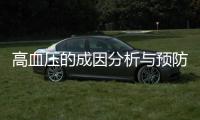 高血壓的成因分析與預防措施
