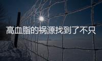 高血脂的禍源找到了不只是肥肉多數人疏忽了平常經常吃