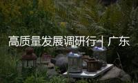 高質量發展調研行｜廣東潮州鳳凰鎮：“茶+文旅產業”帶動鄉村振興
