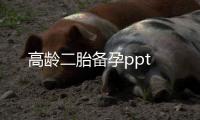 高齡二胎備孕ppt