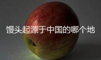 饅頭起源于中國的哪個地方（饅頭起源于南方還是北方）