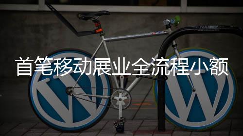 首筆移動展業全流程小額貸款業務落地郵儲銀行仙游縣支行