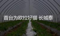 首臺(tái)為歐拉好貓 長(zhǎng)城泰州基地PT整車下線