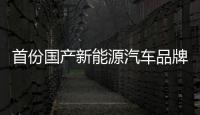 首份國產(chǎn)新能源汽車品牌影響力報告