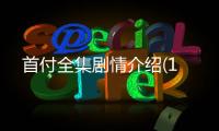 首付全集劇情介紹(1