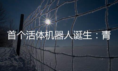 首個活體機器人誕生：青蛙細胞生成，超級計算機設計，外媒：毛骨悚然