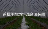 首批甲醇燃料混合滾裝船選擇瓦錫蘭解決方案