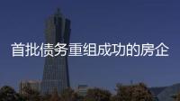 首批債務重組成功的房企,為何再啟重組計劃?