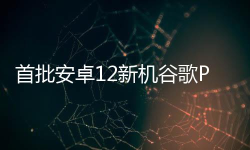 首批安卓12新機谷歌Pixel 6系列來襲，真的好用嗎？