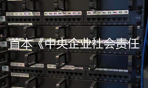 首本《中央企業社會責任藍皮書》發布：央企履行社會責任 成績斐然