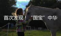 首次發現！“國寶”中華穿山甲現身梅州蕉嶺長潭自然保護區