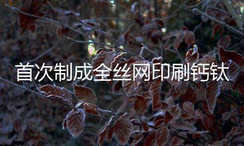 首次制成全絲網印刷鈣鈦礦光伏器件 推動鈣鈦礦電池的產業化