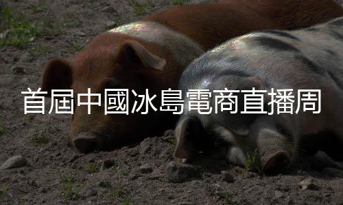 首屆中國冰島電商直播周開幕