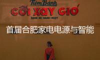首屆合肥家電電源與智能控制研討會(huì)議程公開(kāi)