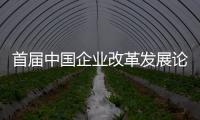 首屆中國(guó)企業(yè)改革發(fā)展論壇在京舉行