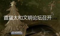 首屆太和文明論壇召開 中外專家共商文明發展之道