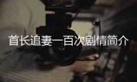 首長追妻一百次劇情簡介
