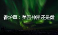 香爐草：美容神器還是健康隱患？