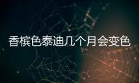 香檳色泰迪幾個月會變色(香檳色泰迪變色過程)