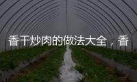 香干炒肉的做法大全，香干炒肉的做法