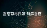 香菇有毒性嗎 新鮮香菇不過水有毒嗎