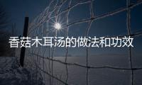 香菇木耳湯的做法和功效，香菇木耳湯的做法