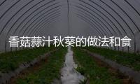 香菇蒜汁秋葵的做法和食材用料及健康功效
