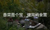 香菜是個寶，健胃消食營養豐富，可惜很多人不愛吃