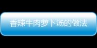 香辣牛肉蘿卜湯的做法