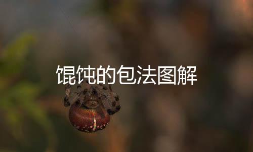 餛飩的包法圖解
