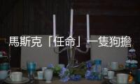 馬斯克「任命」一隻狗擔任推特首席執行官