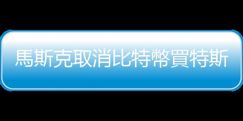 馬斯克取消比特幣買特斯拉，是為了環保，還是在下另一盤棋？