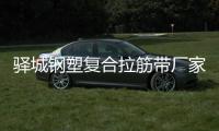 驛城鋼塑復合拉筋帶廠家