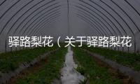 驛路梨花（關(guān)于驛路梨花的基本情況說明介紹）