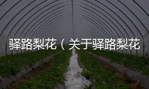 驛路梨花（關于驛路梨花的基本情況說明介紹）