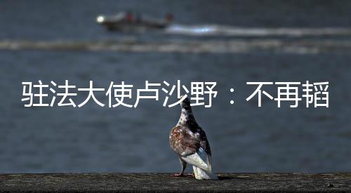駐法大使盧沙野：不再韜光養(yǎng)晦，中國的光已藏不住了