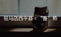 駐馬店西平縣：“畜”勢聚能 加“數”前進 