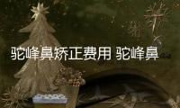 駝峰鼻矯正費用 駝峰鼻果圖 會留疤嗎？