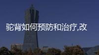 駝背如何預防和治療,改善駝背的體操和瑜伽動作