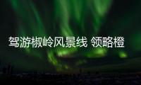駕游椒嶺風(fēng)景線 領(lǐng)略橙黃橘綠時(shí)_