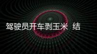 駕駛員開車剝玉米  結(jié)果悲劇了