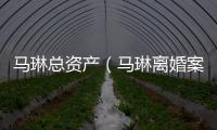馬琳總資產（馬琳離婚案）
