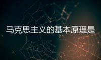 馬克思主義的基本原理是什么？